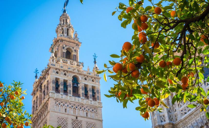 Callejon De La Luz Seville Exterior photo